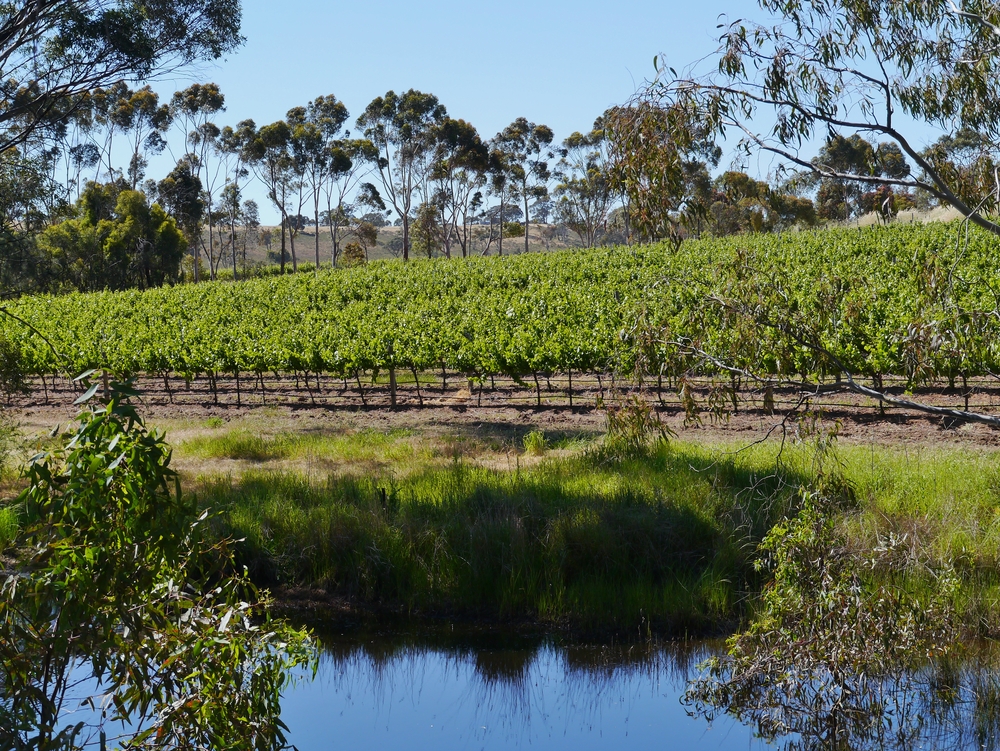 California Distillery and Brewery Attorney Sebastian Gibson